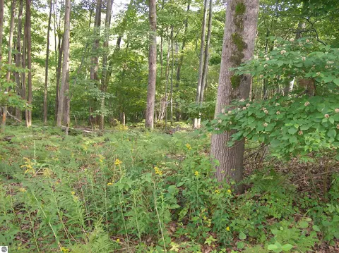 Lot 485 N Ogemaw Trail, West Branch, MI 48661