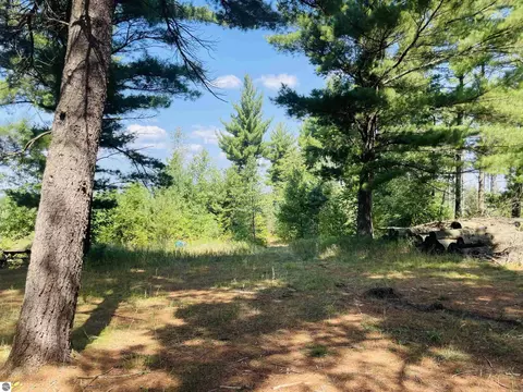 E 10 1/2 Road, Manton, MI 49663