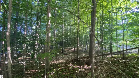Lot 61 East Village Drive, Bellaire, MI 49615