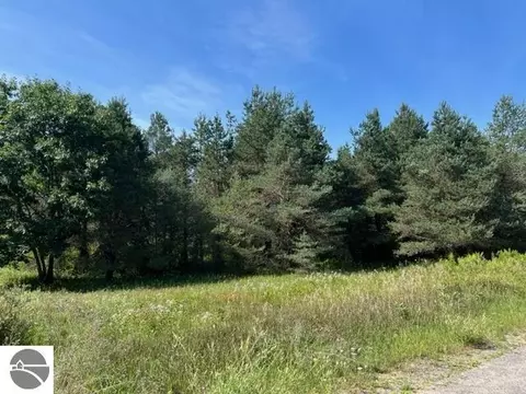 V/l 00 S Manistee Street, Lake City, MI 49651