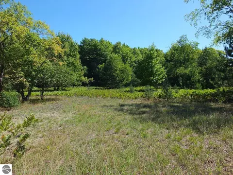 Parcel Eden Lane, Thompsonville, MI 49683