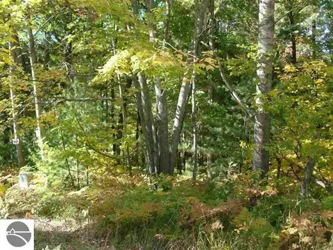 8081 Rhoby Rd, Merritt, MI 49667