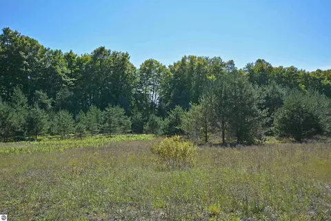 Autumn Mist Lane, Thompsonville, MI 49683