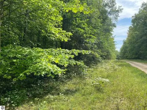 Basel Road, Reed City, MI 49677