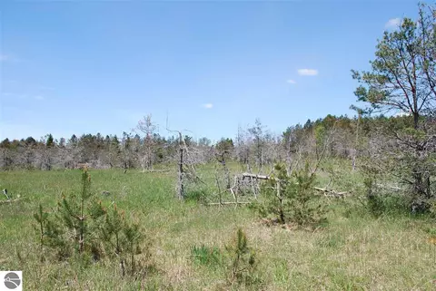 Parcel #2 & APT 5 SE Riley Road, Kalkaska, MI 49646