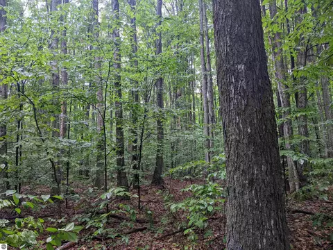 0000 Kast Rd, Benzonia, MI 49616