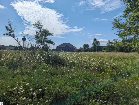 0 S Court St, Au Gres, MI 48703 photo 3