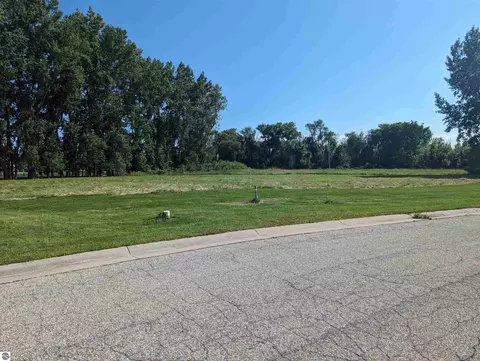 0 S Court St, Au Gres, MI 48703 photo 2