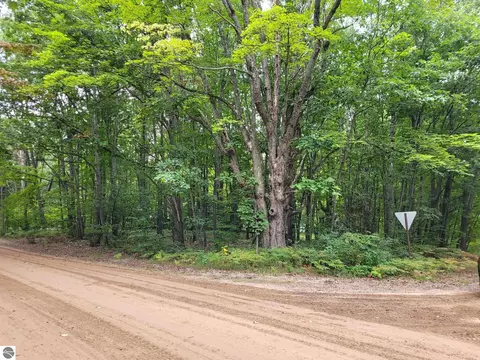 30 Middle Trail, Leroy, MI 49655