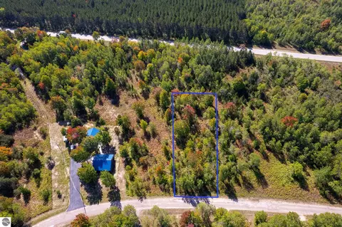 V/l Pineview Drive, Mancelona, MI 49659