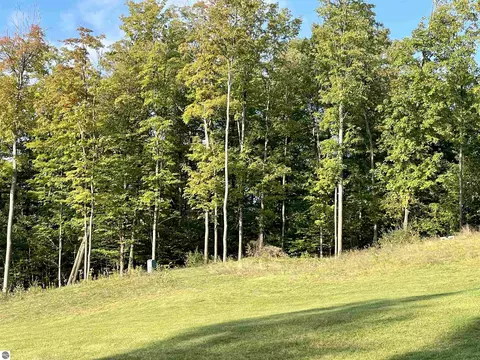 Tbd Raptor Run, Bellaire, MI 49615