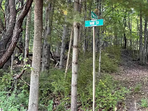 Mill Street, Pierport, MI 49614