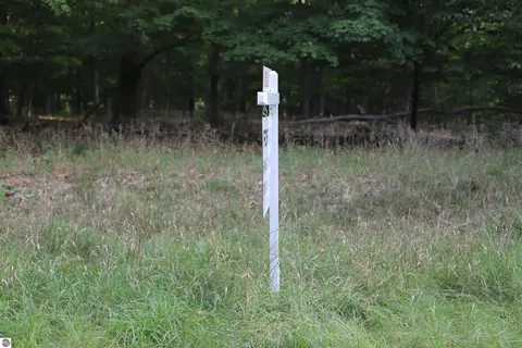 Lot 6 Crystal View Commons, Beulah, MI 49617