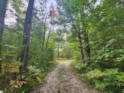 Nhn S Vaughn Lake Drive, Glennie, MI 48737