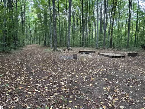 000 Trail 21 Ln, Mancelona, MI 49659