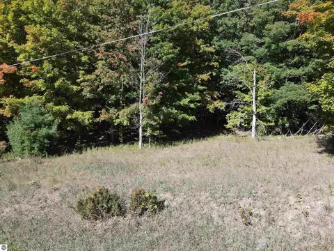 0 E Old Mountain Rd, Cedar, MI 49621 photo 14