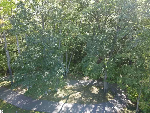 0 E Old Mountain Rd, Cedar, MI 49621 photo 8