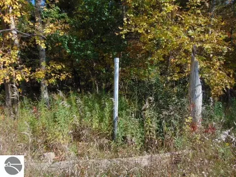 Tbd N Douglas Road, Vestaburg, MI 48891
