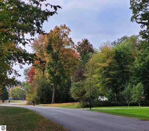 Lot 21 Lipp Farm Road, Benzonia, MI 49616