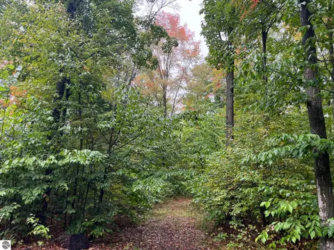 000 Woodsborough Dr, Alden, MI 49612