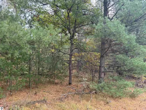 00 Rifle River Trl, Prescott, MI 48756