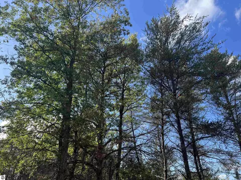 Lot 45 Wobbler Trail, Roscommon, MI 48653