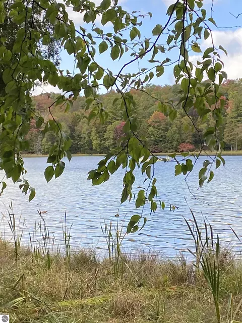 00 Truax Lake Rd, Williamsburg, MI 49690
