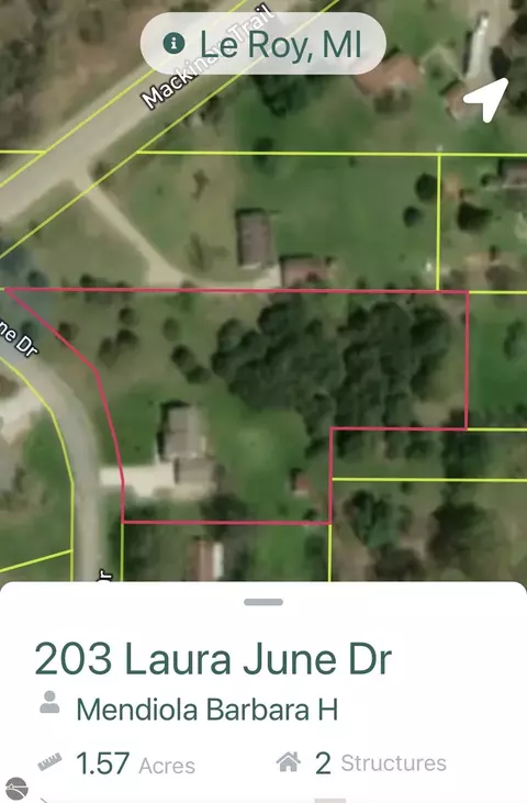 203 Laura June Dr, Leroy, MI 49655 photo 2