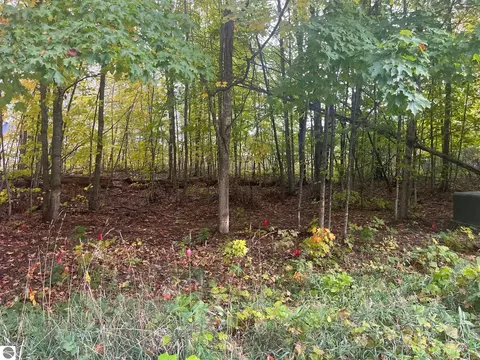 00 E Cherry Ln, Cedar, MI 49621 photo 4