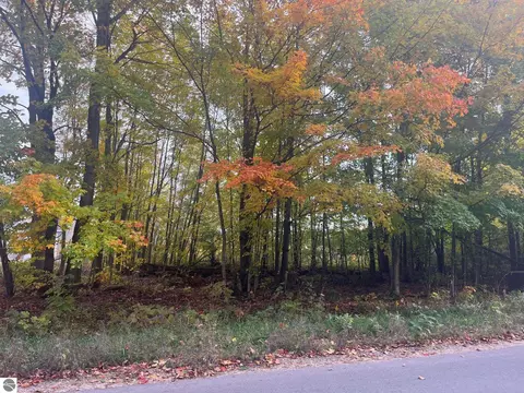 00 E Cherry Ln, Cedar, MI 49621 photo 3
