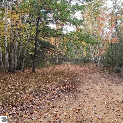 Nnn Springwood Drive LOT S 0705, Prudenville, MI 48651