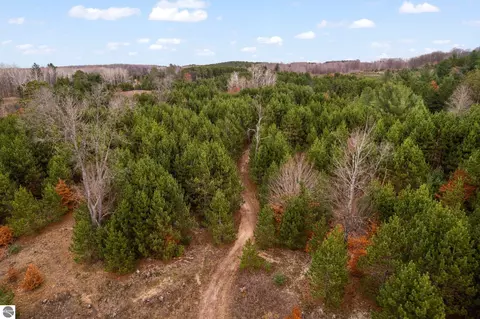 18 Road, Manton, MI 49663 photo 65