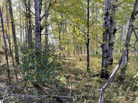 18 Road, Manton, MI 49663 photo 32