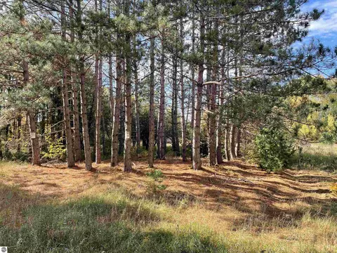 18 Road, Manton, MI 49663 photo 14