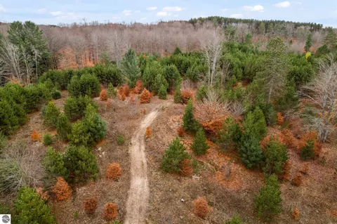 18 Road, Manton, MI 49663