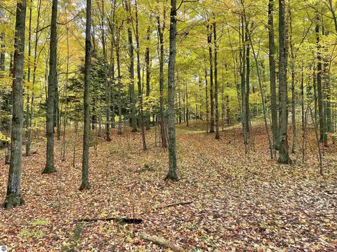 18 Road, Manton, MI 49663 photo 46