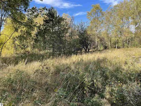 18 Road, Manton, MI 49663 photo 39