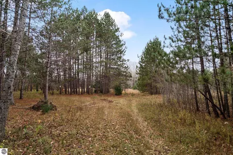 18 Road, Manton, MI 49663 photo 70