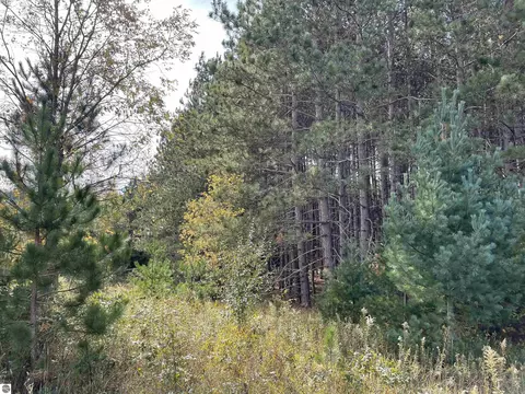 18 Road, Manton, MI 49663 photo 7