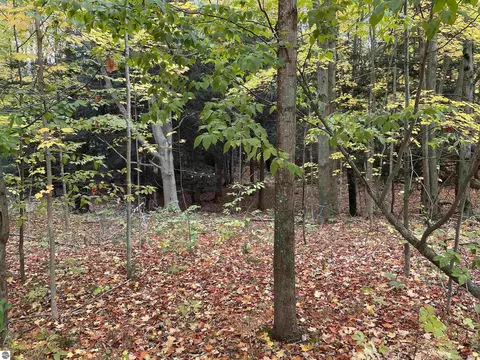 18 Road, Manton, MI 49663 photo 47