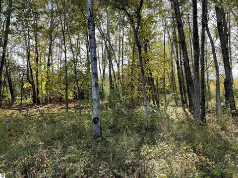 18 Road, Manton, MI 49663 photo 35