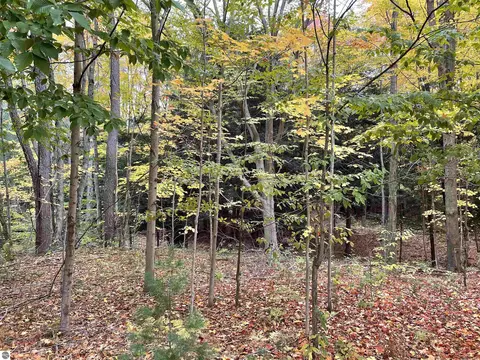 18 Road, Manton, MI 49663 photo 48