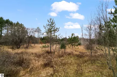 18 Road, Manton, MI 49663 photo 6