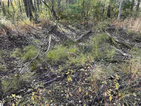 18 Road, Manton, MI 49663 photo 36