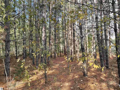 18 Road, Manton, MI 49663 photo 10