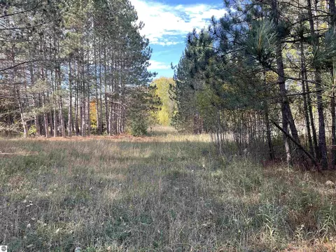 18 Road, Manton, MI 49663 photo 11