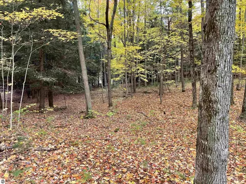 18 Road, Manton, MI 49663 photo 45