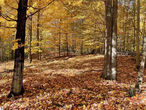N/a W Heath Road, Rose City, MI 48654