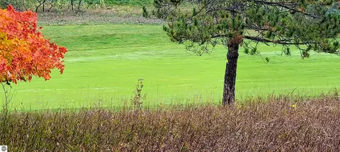 Unit 36 Golf Meadows Drive, Bellaire, MI 49615