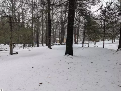 40 N Ralph St, Au Gres, MI 48703 photo 65